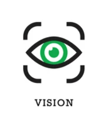 Vision icon black and green with shadow on white background