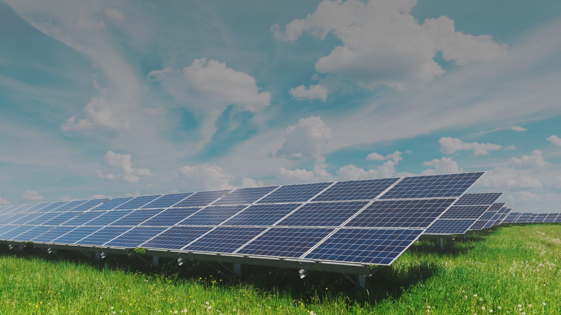 Solar panels under a blue sky with white clouds
